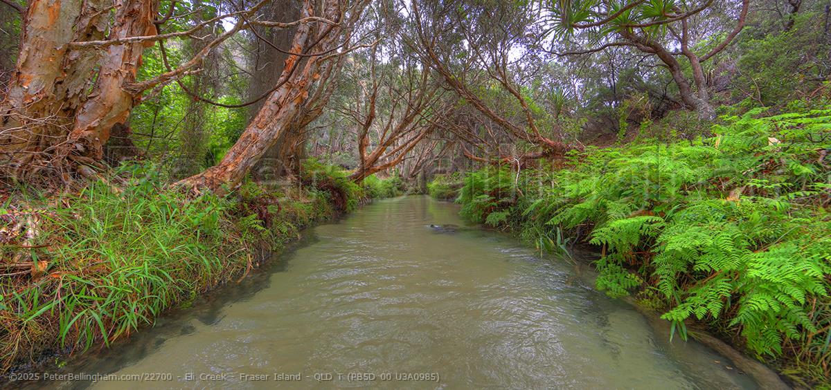 Peter Bellingham Photography Eli Creek - Fraser Island - QLD T (PB5D 00 U3A0985)